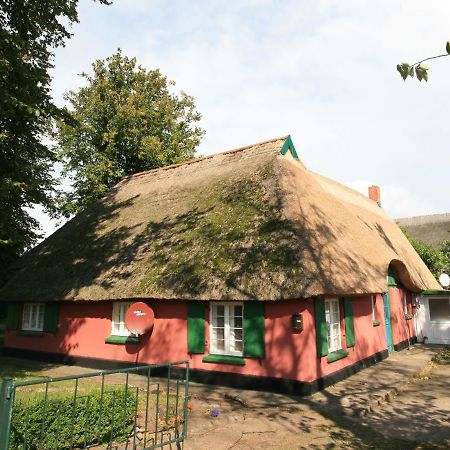 Appartamento Unterm Rohrdach Wustrow  Esterno foto