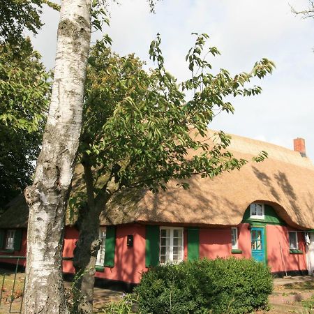 Appartamento Unterm Rohrdach Wustrow  Esterno foto
