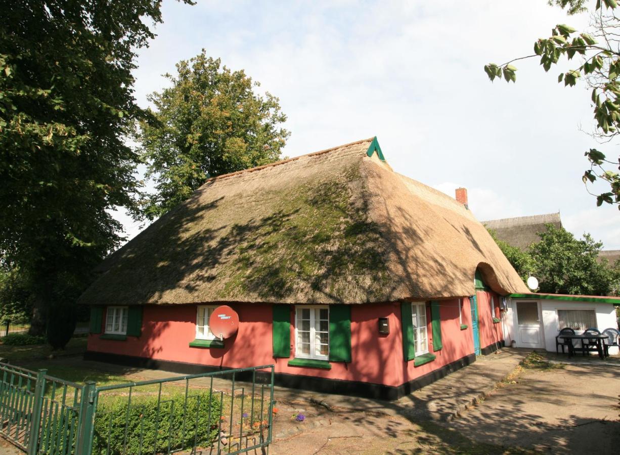 Appartamento Unterm Rohrdach Wustrow  Esterno foto